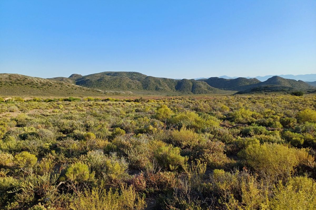 Vacant Land Residential For Sale in Oudtshoorn Rural - Photo 4