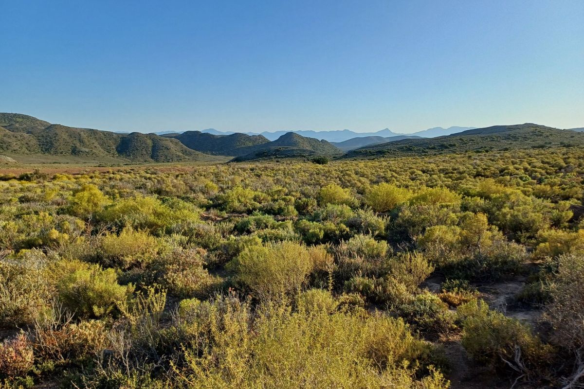 Vacant Land Residential For Sale in Oudtshoorn Rural - Photo 3