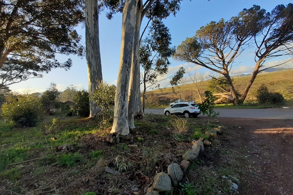 Vacant Land Residential For Sale in Grabouw Central - Photo 3