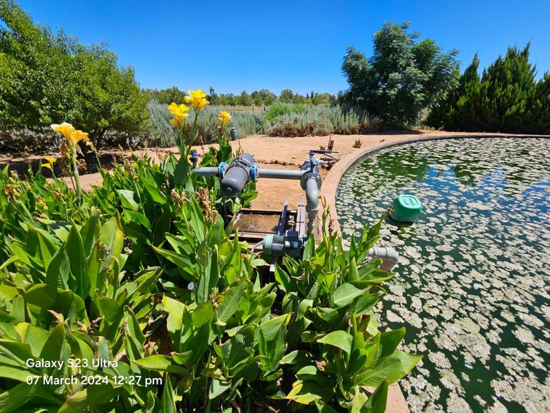 Farm For Sale in Jacobsdal Rural - Photo 7