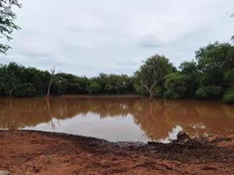 Farm For Sale in Musina Rural - Photo 8