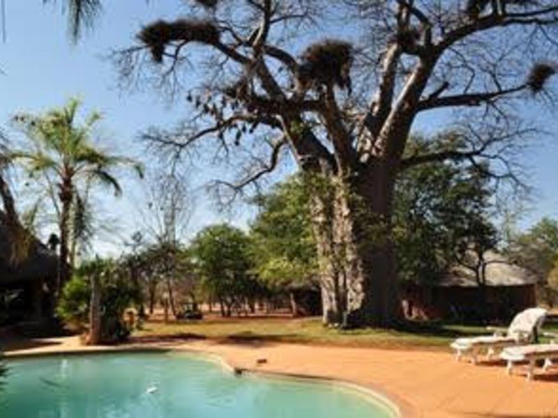 Farm For Sale in Musina Rural - Photo 7