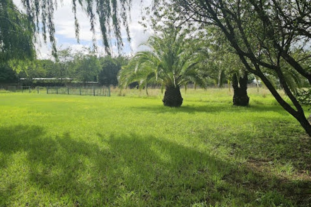 House For Sale in Rispark - Photo 5