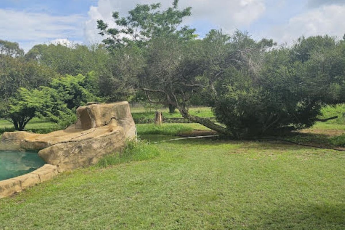 House For Sale in Rispark - Photo 4