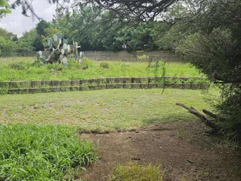 House For Sale in Rispark - Photo 6