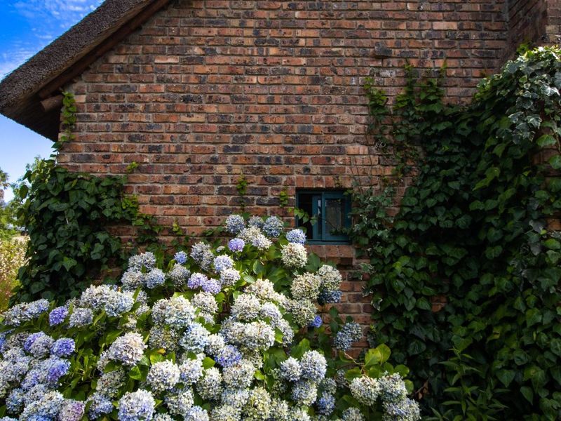 House For Sale in Grabouw Central - Photo 6