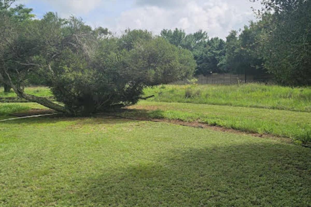 House For Sale in Rispark - Photo 4