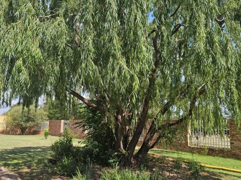 House For Sale in Rispark - Photo 7