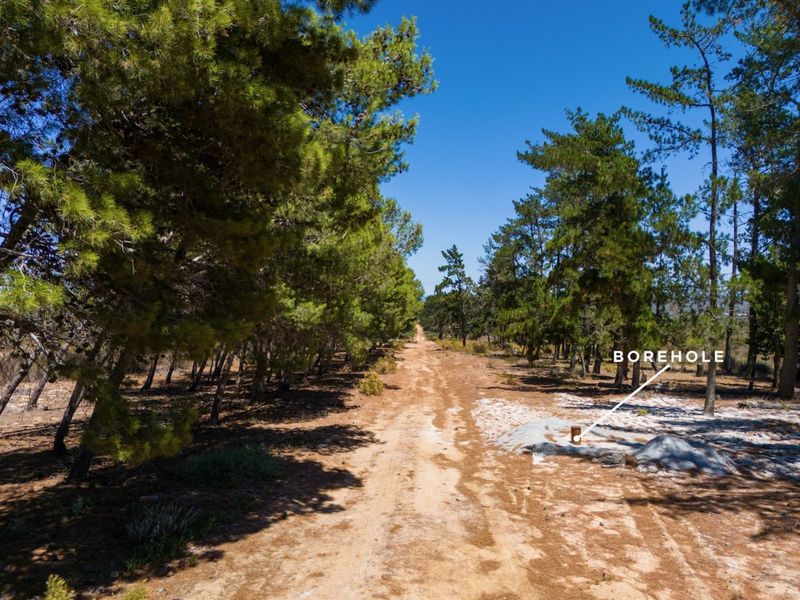 Farm For Sale in Yzerfontein Rural - Photo 6