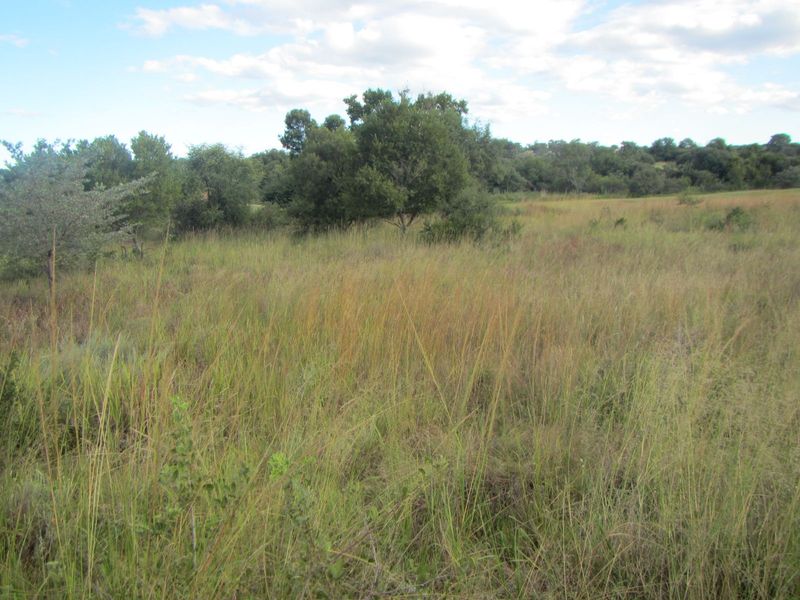 Vacant Land Residential For Sale in Koro Creek Golf Estate - Photo 2