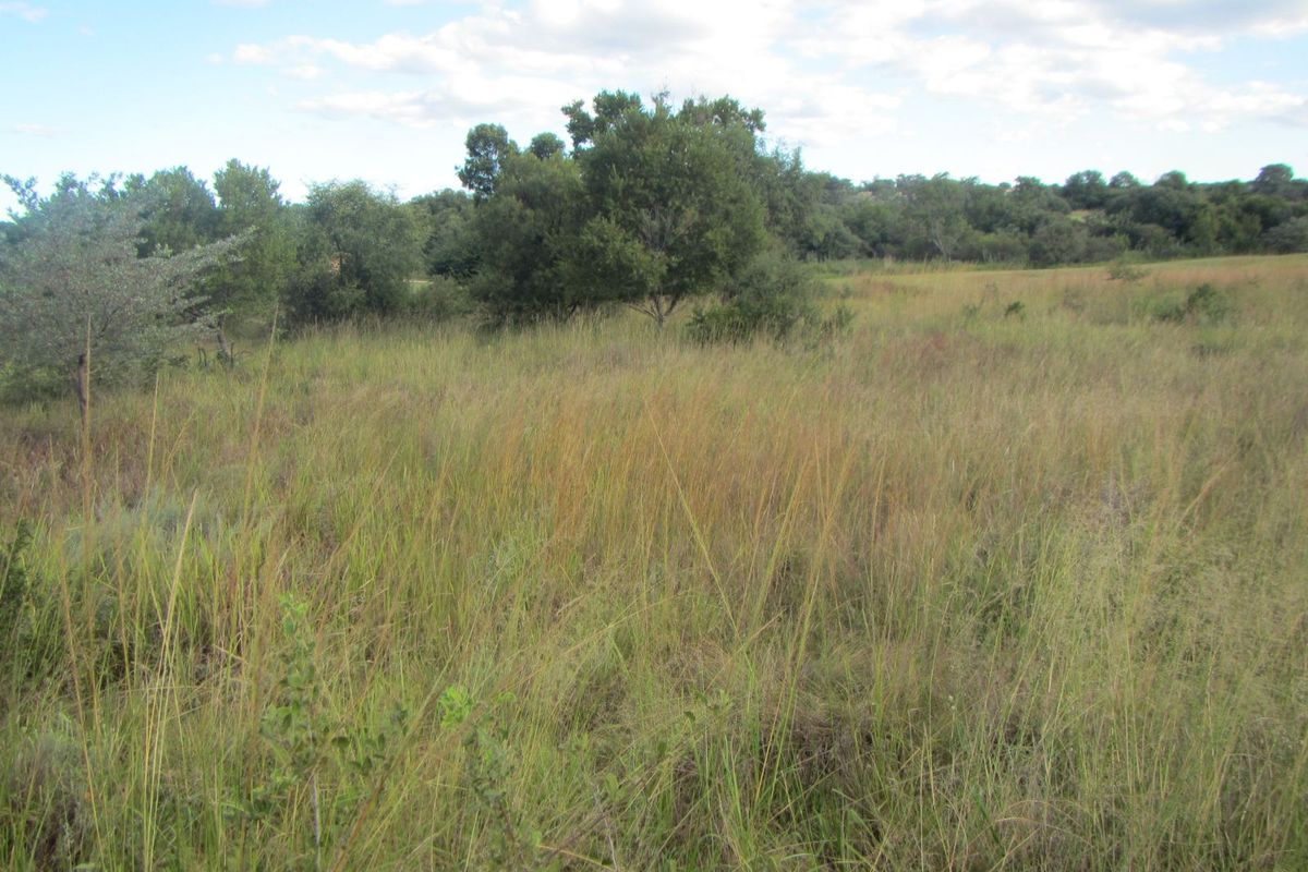 Vacant Land Residential For Sale in Koro Creek Golf Estate - Photo 2