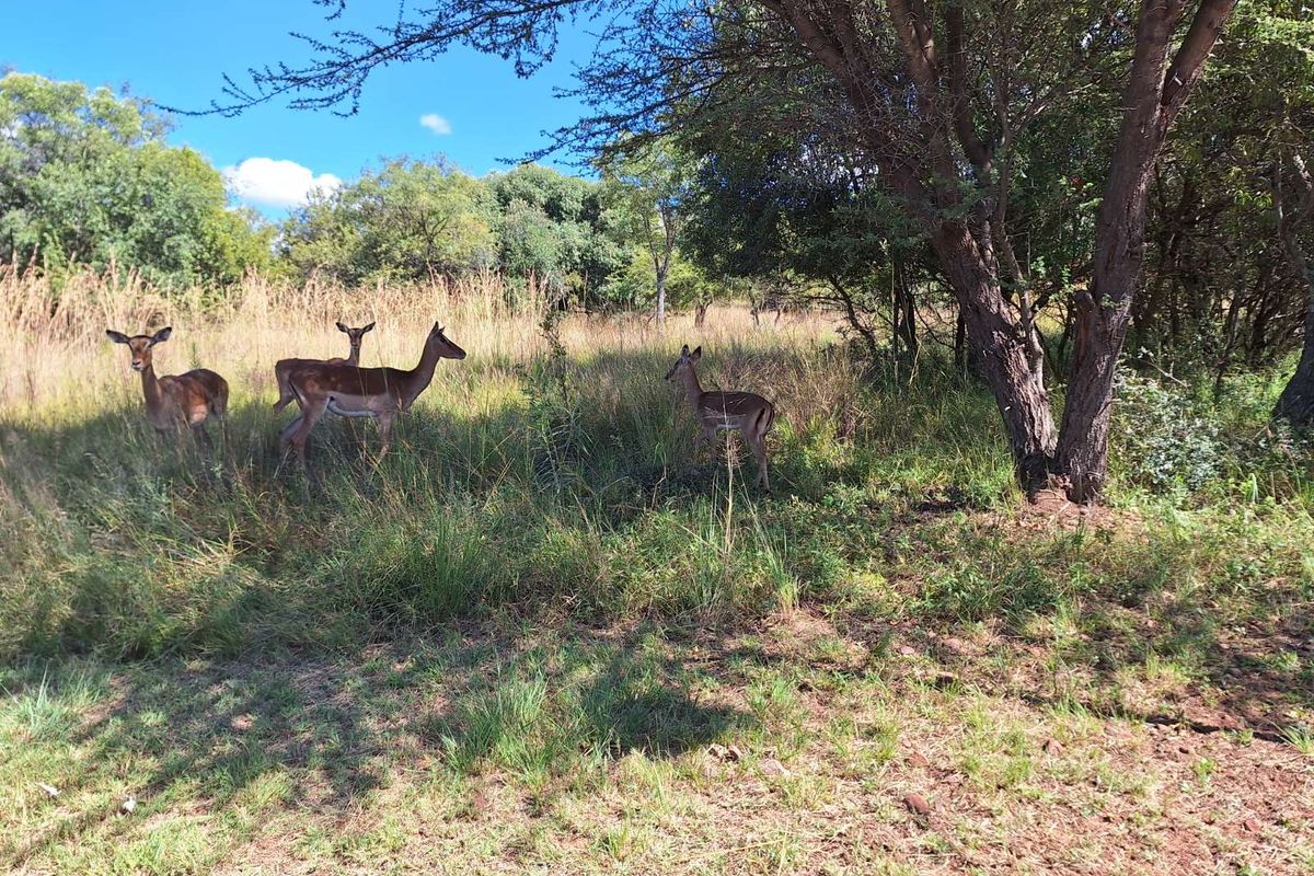 Vacant Land Residential For Sale in Koro Creek Golf Estate - Photo 3