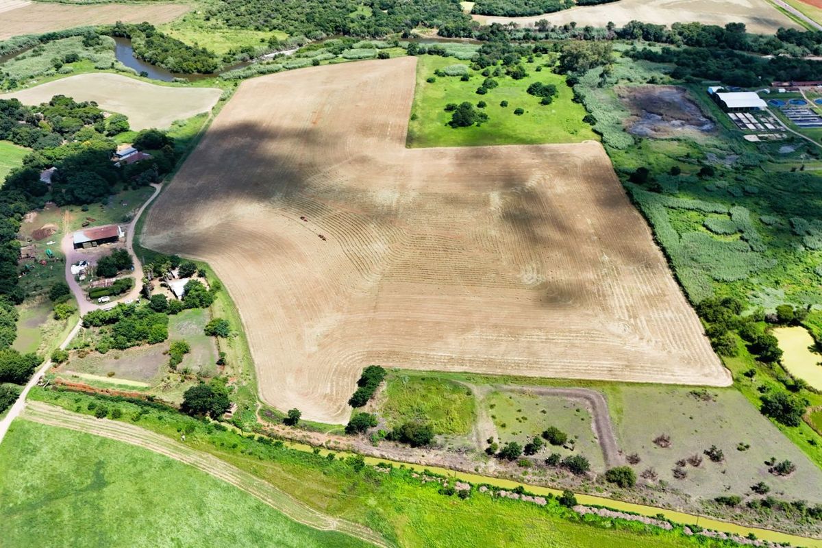Farm For Sale in Brits Central - Photo 4