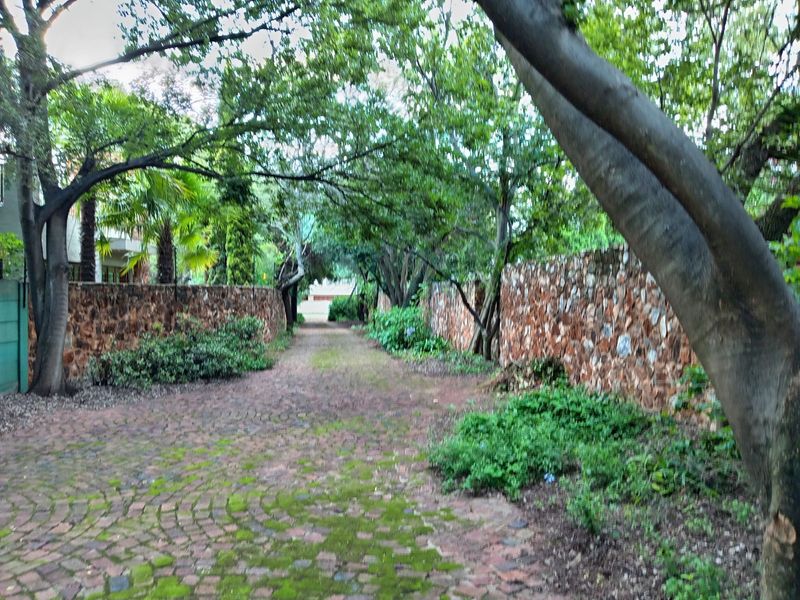 House For Sale in Irene - Photo 4