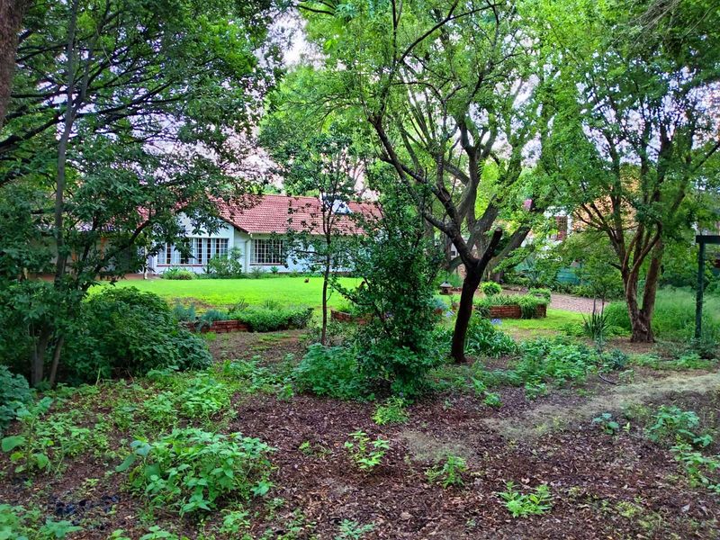 House For Sale in Irene - Photo 2