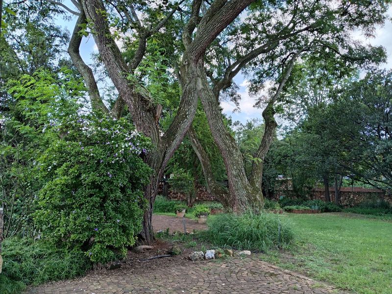 House For Sale in Irene - Photo 6