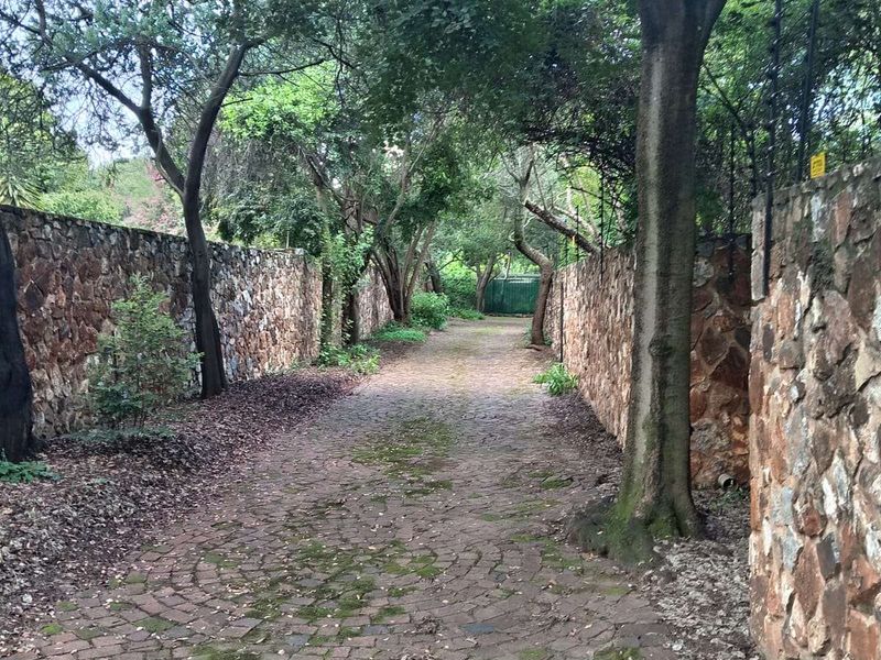 House For Sale in Irene - Photo 5