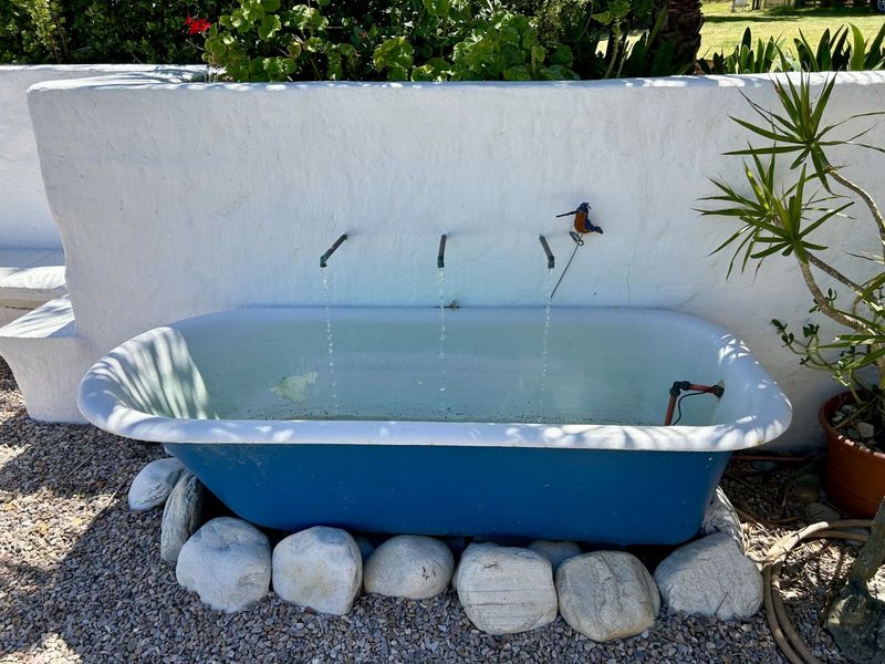 Farm For Sale in George Rural - Photo 7