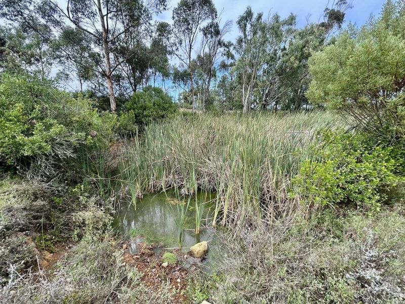 Farm For Sale in Mossel Bay Rural - Photo 10