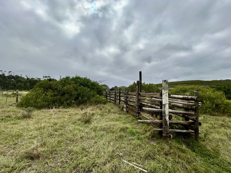 Farm For Sale in Mossel Bay Rural - Photo 9