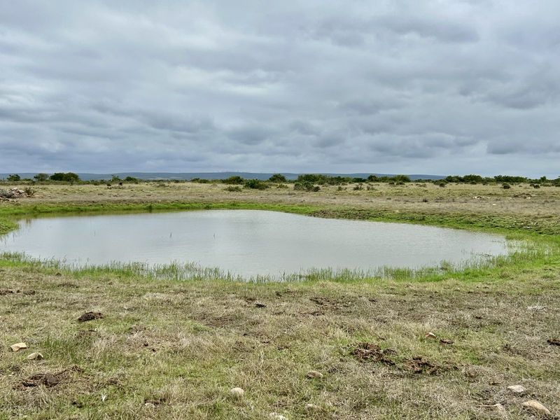 Farm For Sale in Mossel Bay Rural - Photo 7