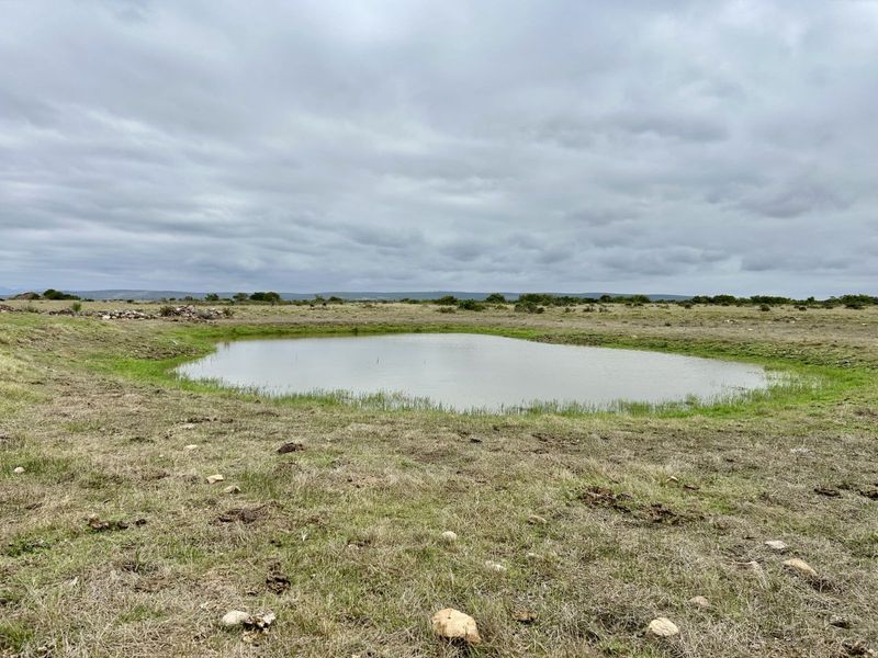 Farm For Sale in Mossel Bay Rural - Photo 6