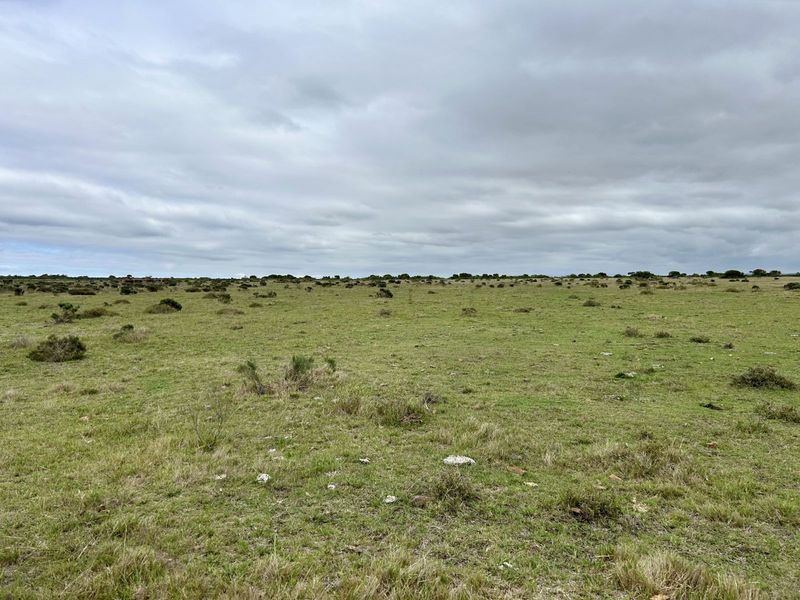 Farm For Sale in Mossel Bay Rural - Photo 5