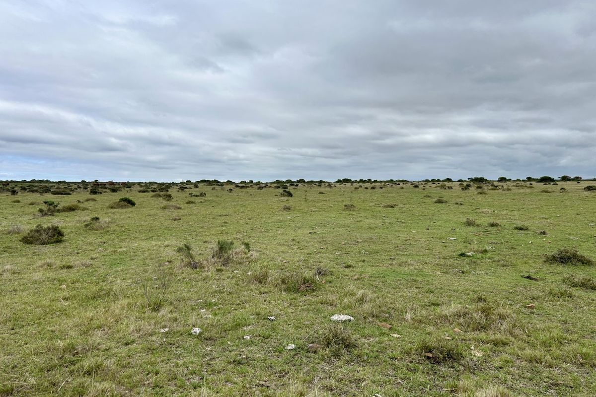 Farm For Sale in Mossel Bay Rural - Photo 5