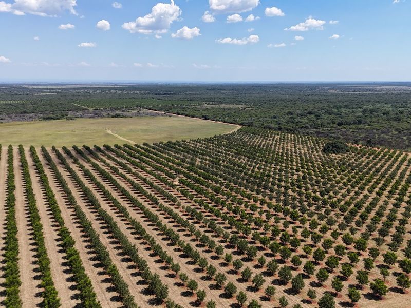 Farm For Sale in Modimolle Rural - Photo 3