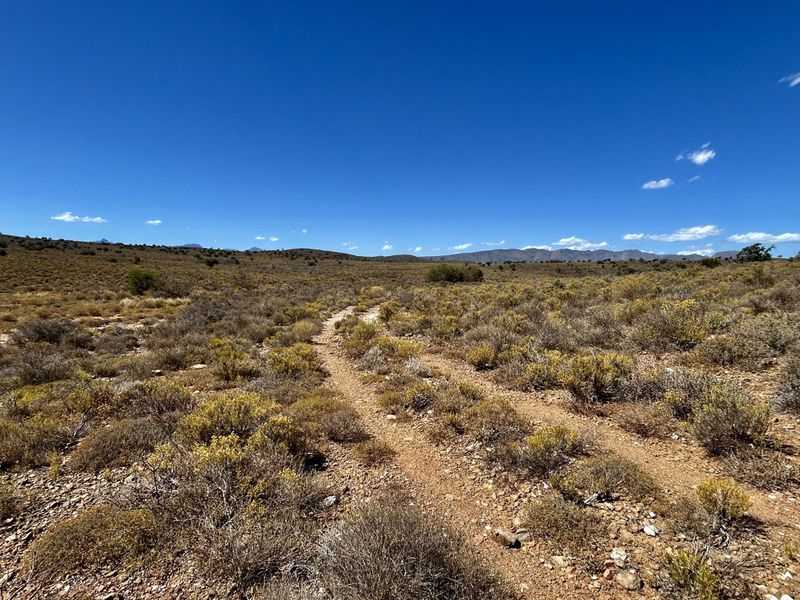 Farm For Sale in Ladismith Rural - Photo 10