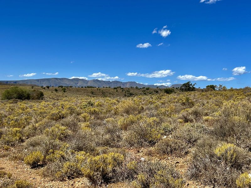 Farm For Sale in Ladismith Rural - Photo 9