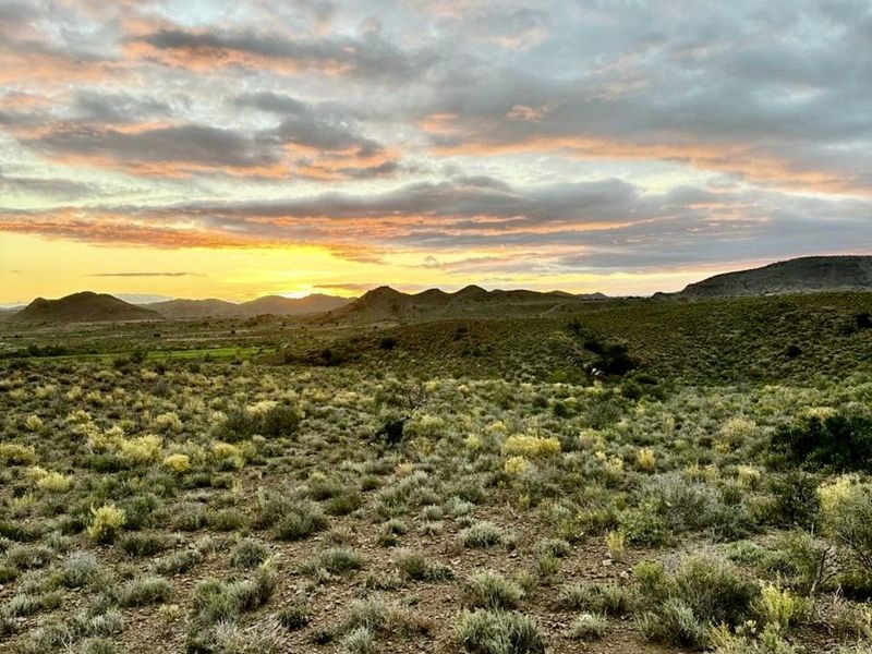 Farm For Sale in Ladismith Rural - Photo 3