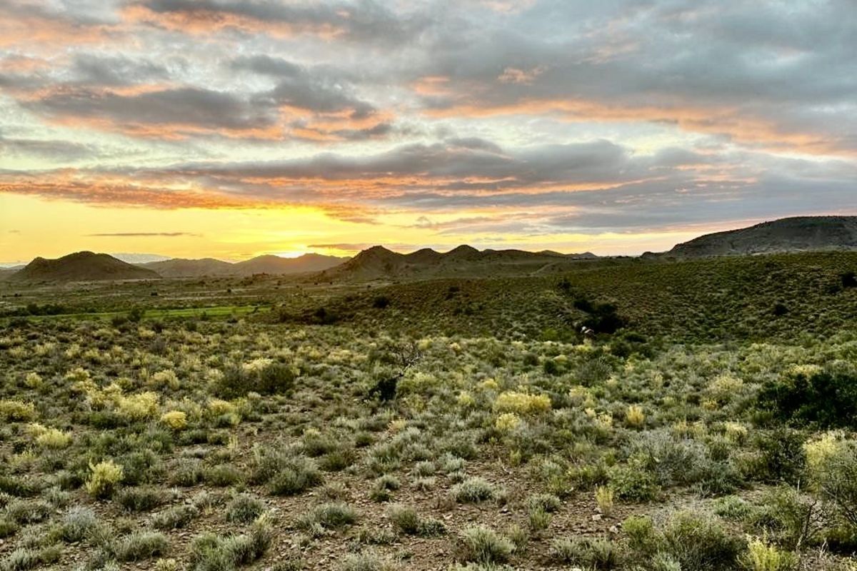 Farm For Sale in Ladismith Rural - Photo 3