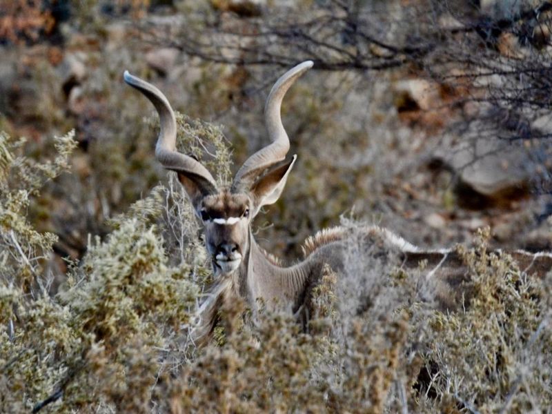Farm For Sale in Ladismith Rural - Photo 5