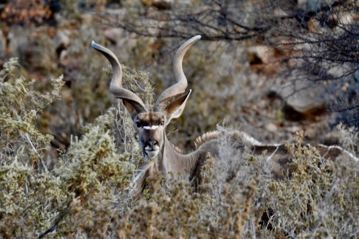 Farm For Sale in Ladismith Rural - Photo 5