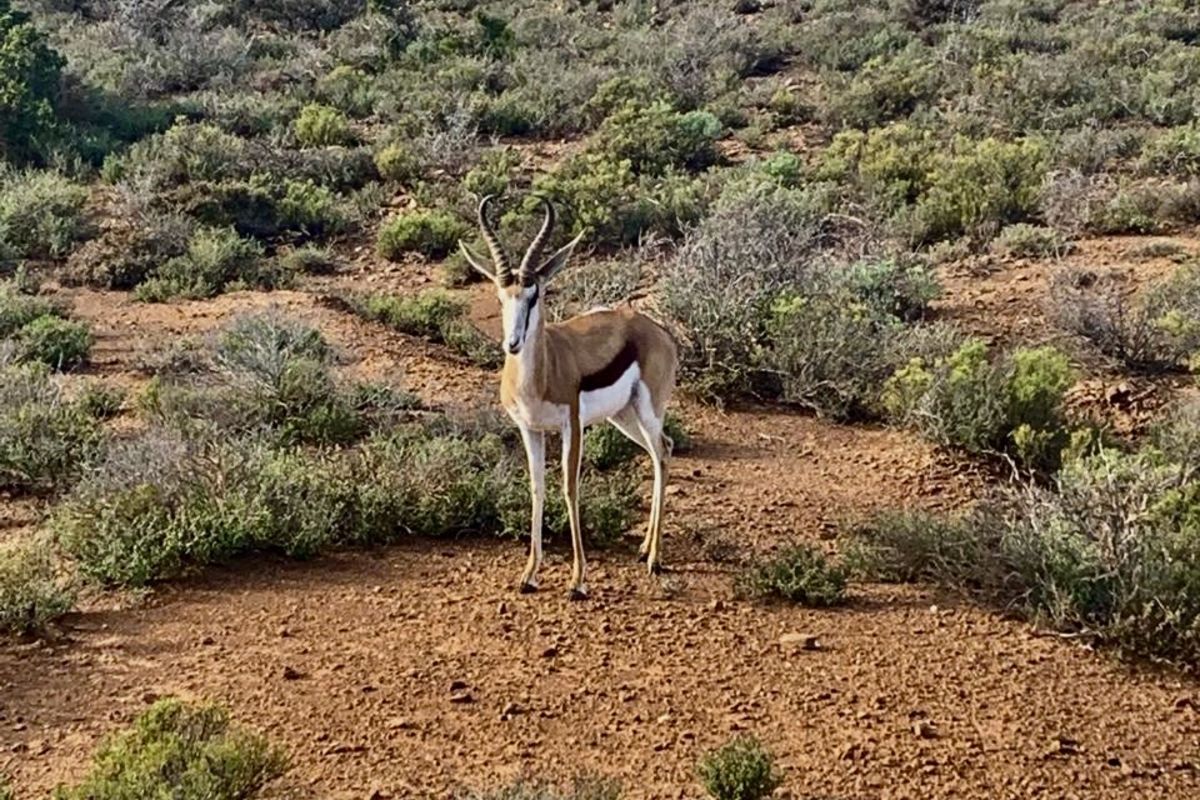 Farm For Sale in Ladismith Rural - Photo 2