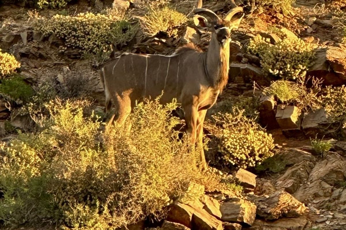 Farm For Sale in Ladismith Rural - Photo 4