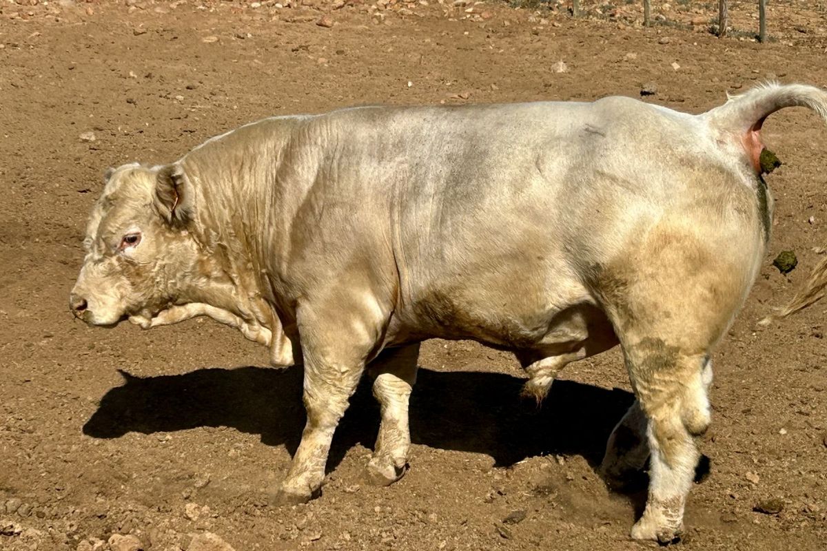 Farm For Sale in Ladismith Rural - Photo 5