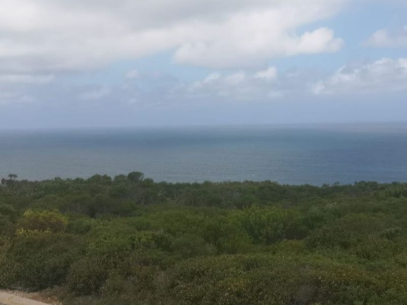 Vacant Land Residential For Sale in Paradise Coast - Photo 9