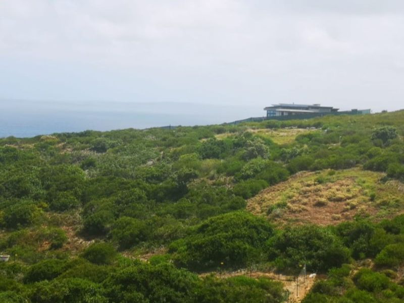 Vacant Land Residential For Sale in Paradise Coast - Photo 7