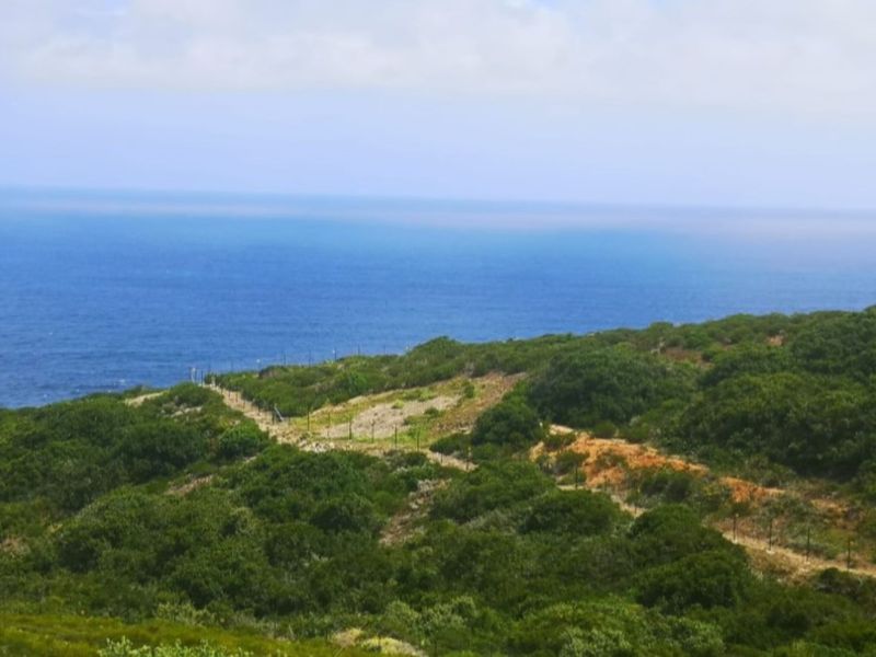 Vacant Land Residential For Sale in Paradise Coast - Photo 6