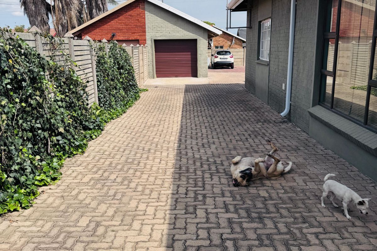 House For Sale in Tasbet Park Ext 2 - Photo 2