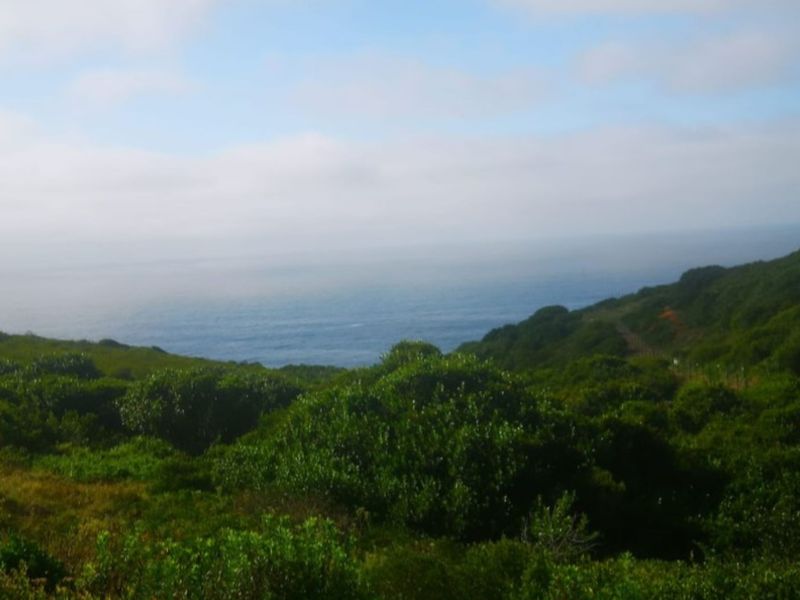 Vacant Land Residential For Sale in Paradise Coast - Photo 5