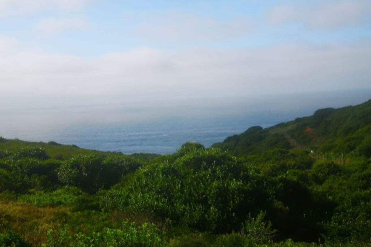 Vacant Land Residential For Sale in Paradise Coast - Photo 5