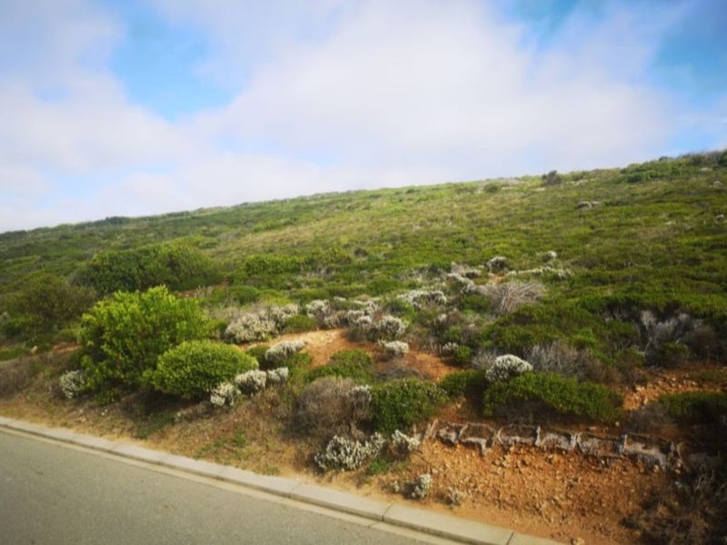 Vacant Land Residential For Sale in Paradise Coast - Photo 7