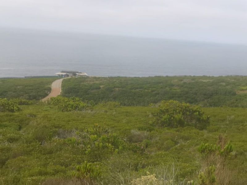 Vacant Land Residential For Sale in Paradise Coast - Photo 8