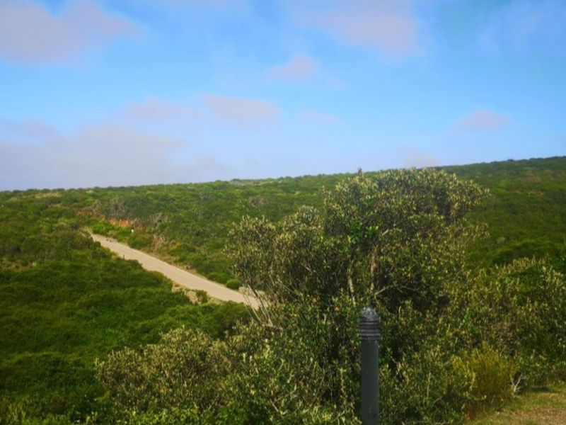 Vacant Land Residential For Sale in Paradise Coast - Photo 4