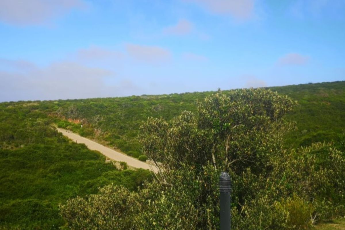Vacant Land Residential For Sale in Paradise Coast - Photo 4