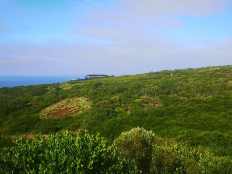 Vacant Land Residential For Sale in Paradise Coast - Photo 6