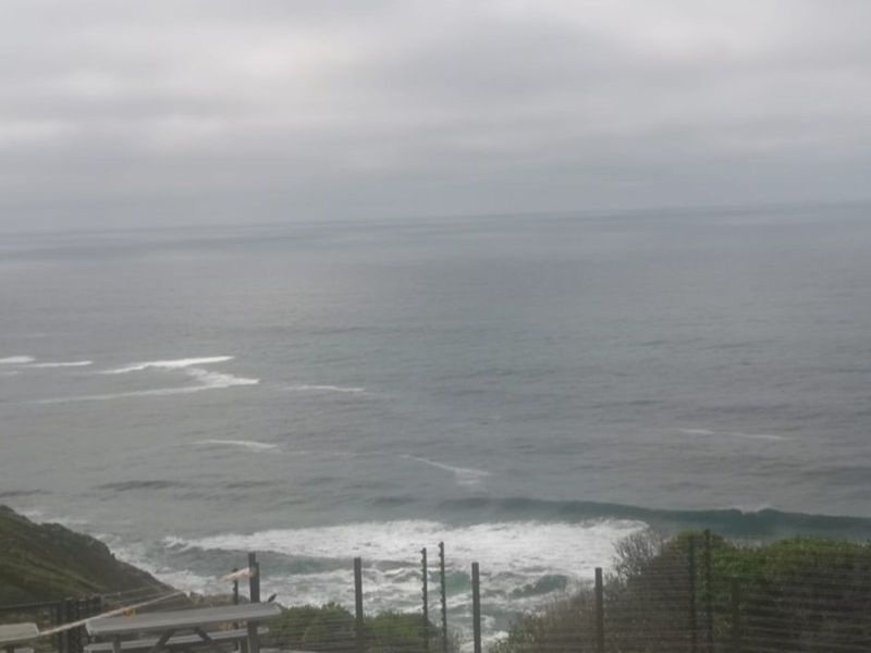 Vacant Land Residential For Sale in Paradise Coast - Photo 10